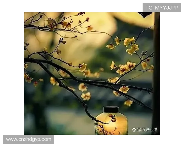 余温犹存狄龙分享生活点滴展现每个平凡人的闪光瞬间